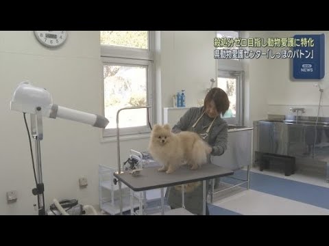 YouTube Video 静岡県動物愛護センター「しっぽのバトン」が富士市にオープン　殺処分ゼロを目指して施設には処分施設を設けず