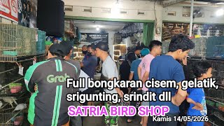 Download lagu Update full bongkaran cisem, pleci,srigunting#satriabirdshop kamis 14/05/2026 mp3