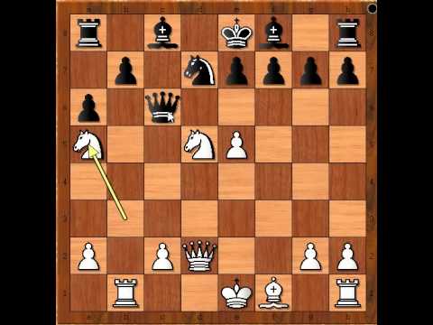 Kad Skakači krenu u napad - NAKAMURA vs WELY - Sicilijanka Najdorf varijanta  # 316