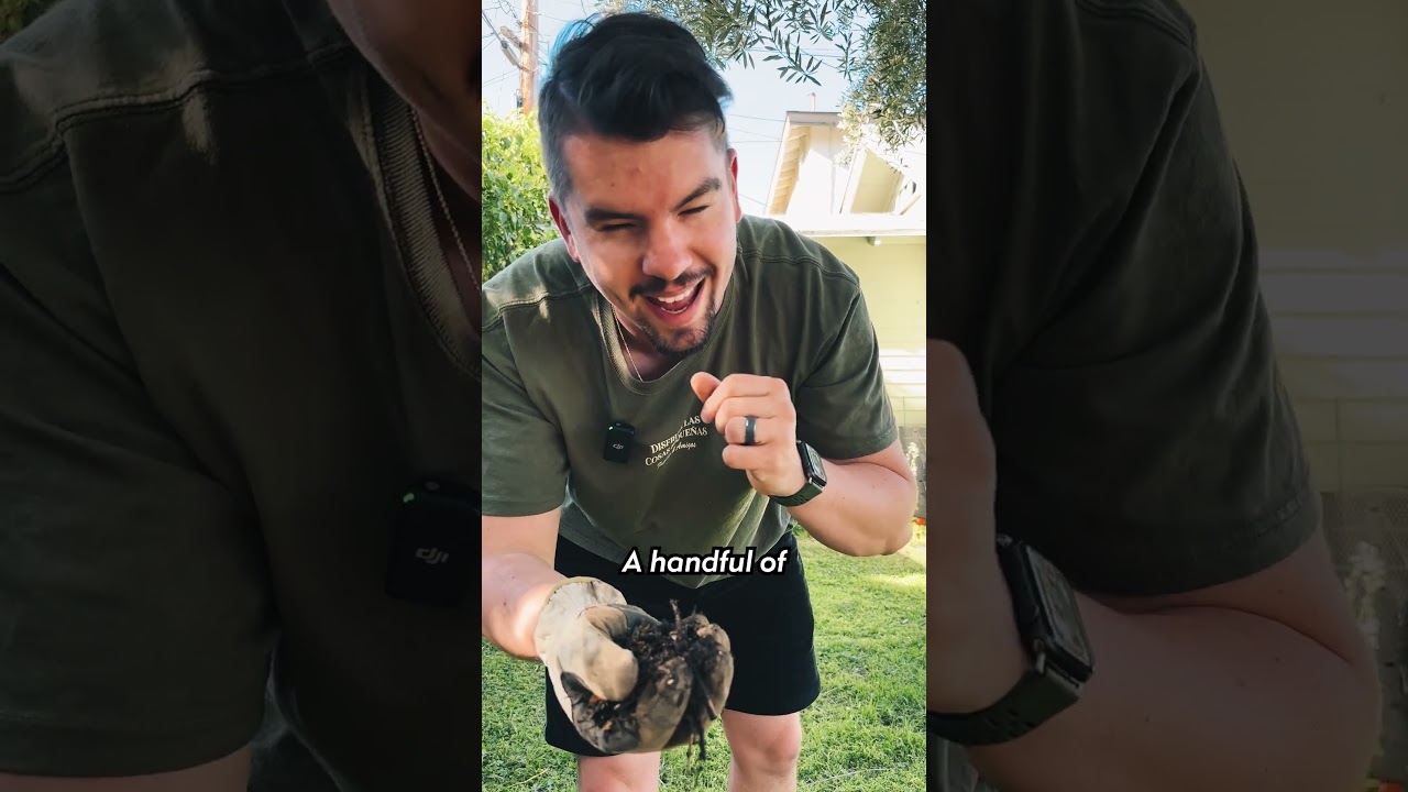 5 Compost Accelerators - The Last One Will Surprise You #compost #composting #composttips