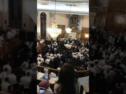 Yehuda Green Selcihos with BJX & Tzvi Berg/Royal Passover