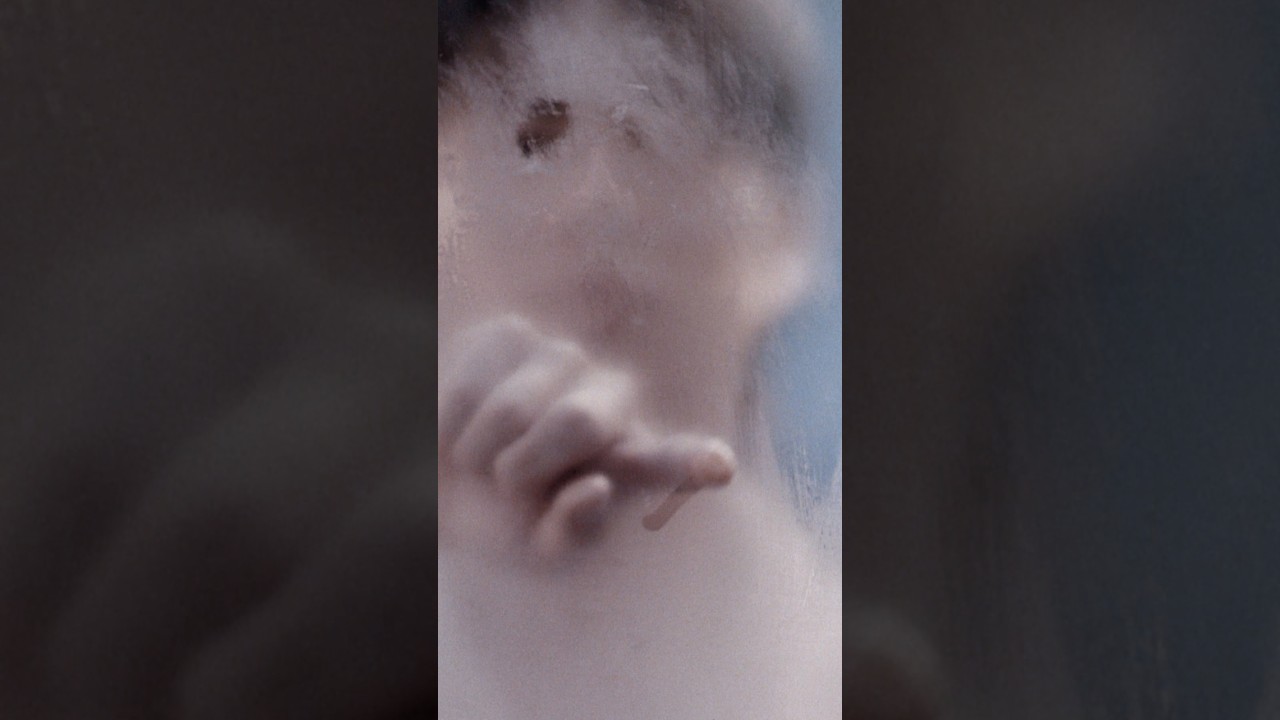 Wonjungyo Hair new item coming soon…