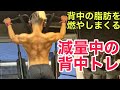 バキバキの背中を作る!減量期の背中トレ!