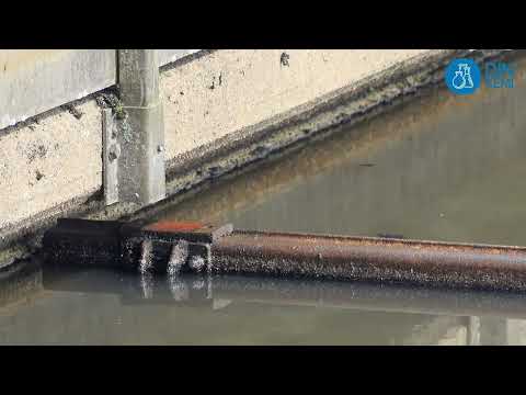 5.4.4 Avloppsreningsverk renar vattnet i flera steg - Din Kemi