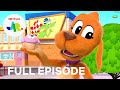 Pupcakes 🧁 // Stink or Swim 🏝 Go, Dog. Go! FULL EPISODE | Netflix Jr