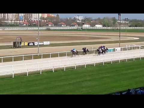 Miserend győzelme - Mogyoròdi hendikep 2017.04.02.