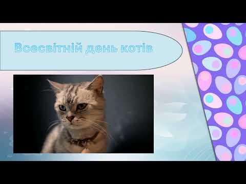 Фото Створення презентації