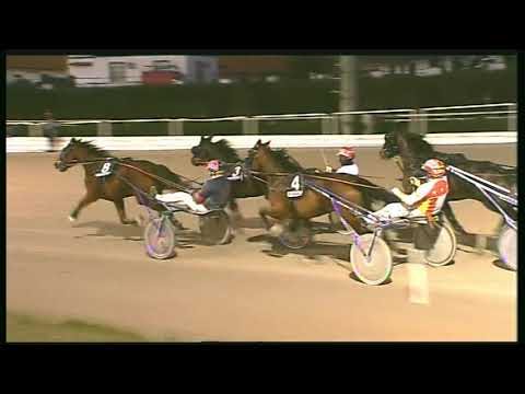 Trotto 14/02/2020 - 7ª corsa