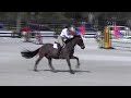 Video Of EGANO VAN KADAL Ridden By GILLIAN GRANT From ShowNet