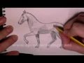 How to draw a trotting horse with pencil - Things ...