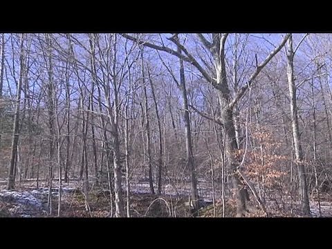 Threats to the conservation of Massachusetts land
