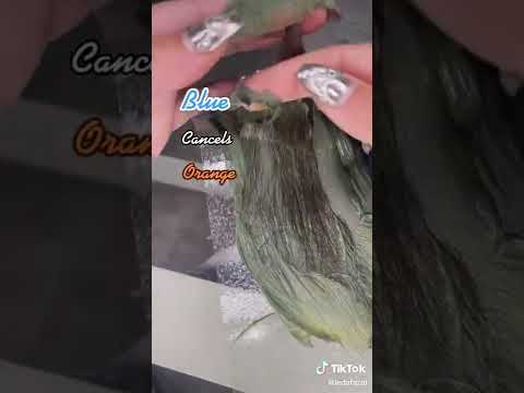 Applying Blue Shampoo on Brassy Hair | Blue Cancel out Orange