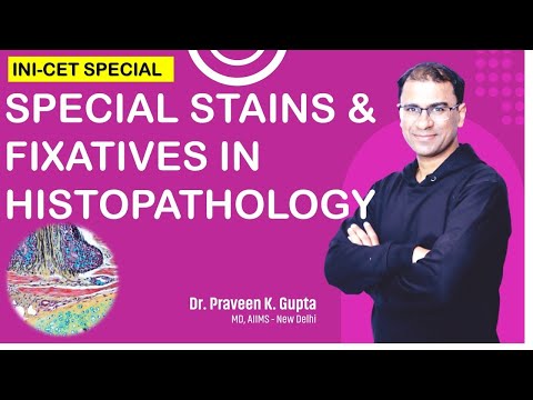 SPECIAL STAINS & FIXATIVES IN HISTOPATHOLOGY for PGMEE