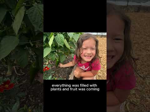 Fresh Food Pantry Orchard