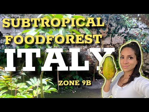 The INCREDIBILE DIVERSITY of My Garden in Italy