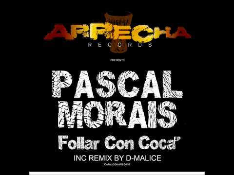Pascal Morais - Follar Con Coca (D-Malice Afrodesiq Radio Edit)