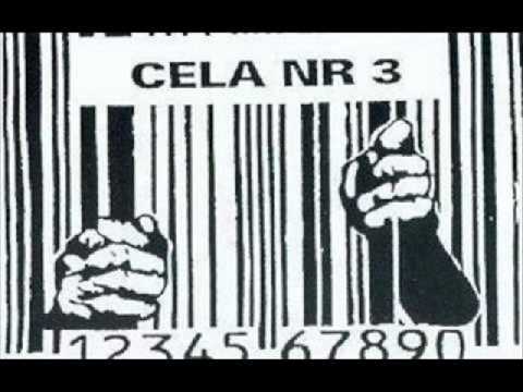 Cela nr 3. - 6 szóstka