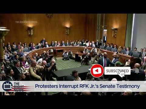 Protesters Interrupt RFK Jr 's Senate Testimony