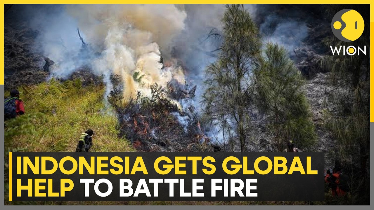 Indonesia Wildfires: Over 12.5 Million People Exposed to Poison Haze | WION