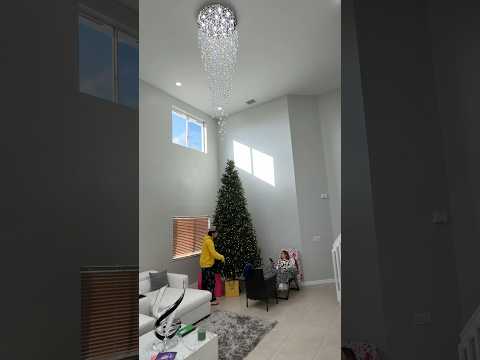 Tirando mi árbol de Navidad para que mi mamá me recuerde :(