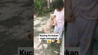 Download lagu #kucing menggigit #anak #lucu mp3