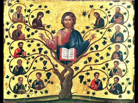 Pr. Antonie - Predică la Duminica dinaintea Nașterii Domnului, Sfânta Iuliana din Nicomidia