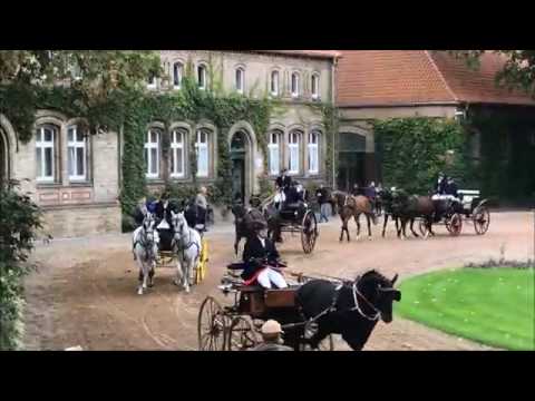 Warendorfer Hengstparaden 2016