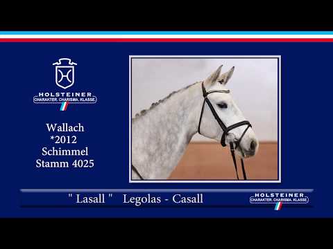 124 | Lasall v. Legolas - Casall