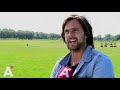 Nieuw 'keurmerk' voor festivals? 'Bemoei je niet met de inhoud'