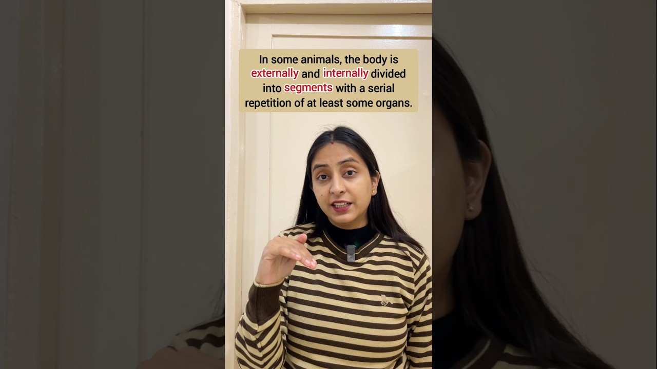 Metameric segmentation | Animal Kingdom #shortsvideo #ytshorts #biology #neet #study #youtubeshorts