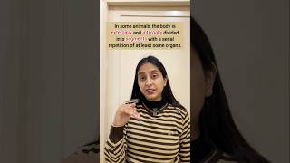 Metameric segmentation | Animal Kingdom #shortsvideo #ytshorts #biology #neet #study #youtubeshorts