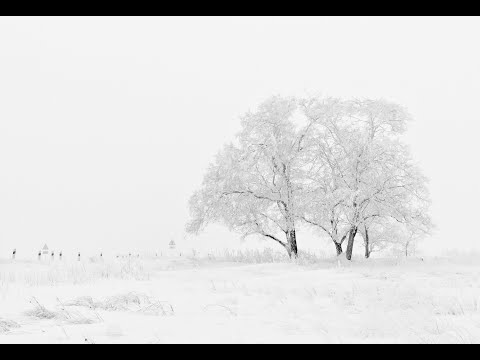 Steve Jablonsky - Infinite White