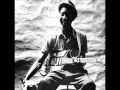 Hound Dog Taylor   55th st  boogie