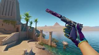 USP S Alpine Camo FN + Gloves Ultra Violent FN