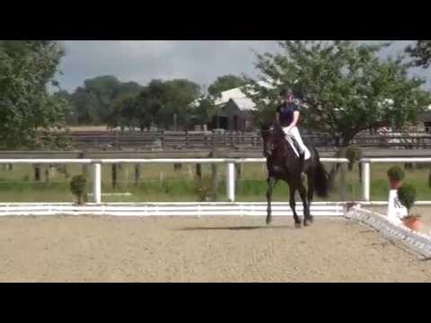 DALEY THOMPSON & Claudia Rüscher - 2. Sichtung zur WM Junge Dressurpferde Verden