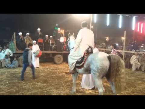 العمده علاء عفيفي حفله الاقصر بالحصان رونالدو