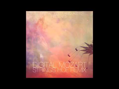 Dizzee Rascal - Strings Hoe (Digital Mozart Remix) [Free Download in description]