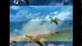 Bee Gees Happy Ever After