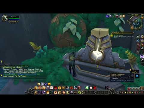 Shadowlands 9.2 PTR Campaign: Forming an Understanding