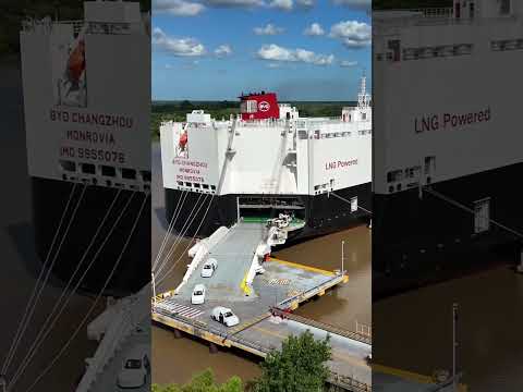 Terminal Zárate: el operativo para descargar más de 5.000 autos chinos