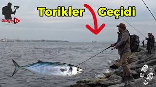 Download the video "İnanılmaz Görüntüler! 😲 İstanbul Boğazı'nda Torik Akını | Sarayburnu Sahilinde Görülmeye Değer Anlar"