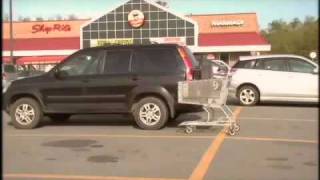 Luke Temple - More Than Muscle