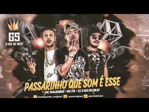 GS, O REI DO BEAT FEAT : MC PR E MC MAGRINHO - PASSARINHO QUE SOM É ESSE ?