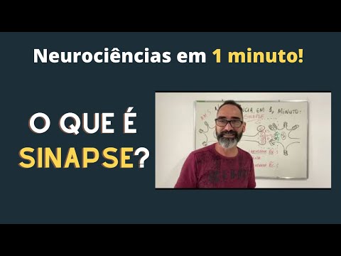 SINAPSE - COMO OS NEURÔNIOS SE COMUNICAM?