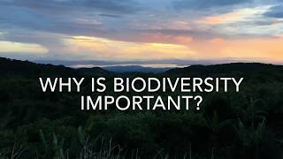 Why is biodiversity important? - Kiran Shirish