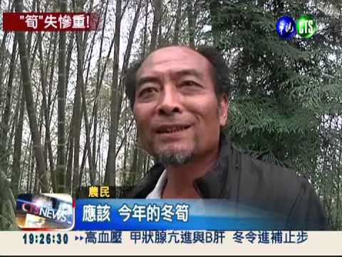 竹涓夜蛾危害! 今年恐沒冬筍吃