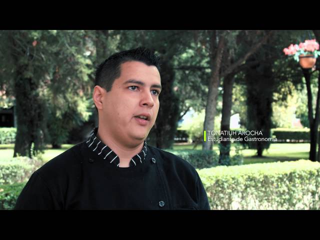 University Cuauhtémoc Aantecalientes video #1
