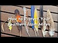 How to Protect Your Feathers from Mites - Scott Alexander King