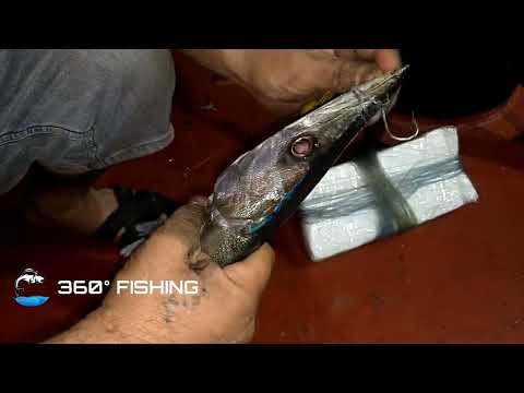 Barracuda fishing in Cargo ship//#barracuda #nightfishing #cargo #iran #fishing #ship
