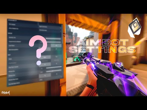 THE SECRET *AIMBOT SETTINGS* IN VALORANT (FPS Boost and Input Delay)